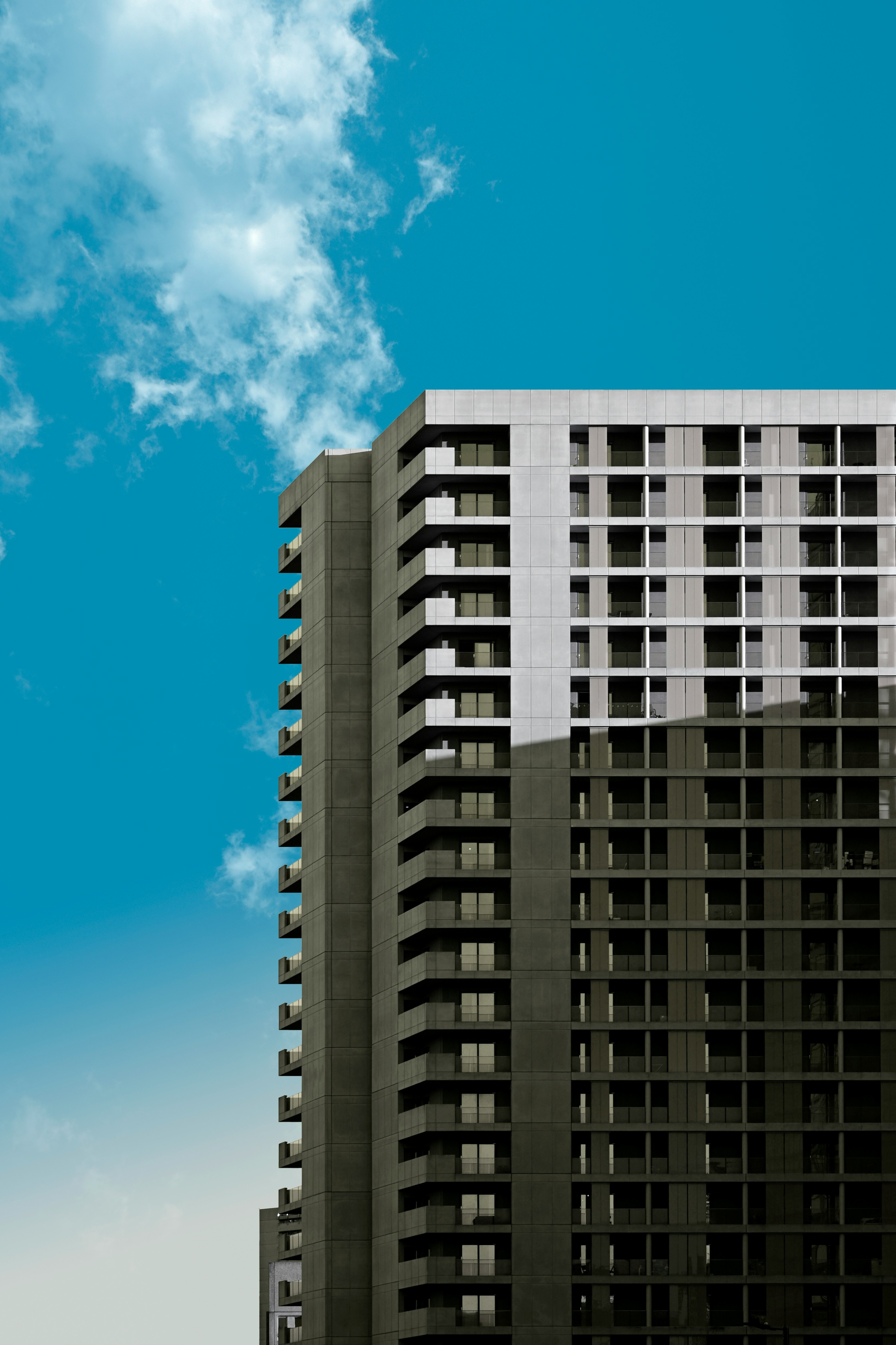 Founder — Oorjita Group